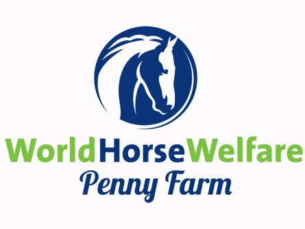 World Horse Welfare Penny Farm