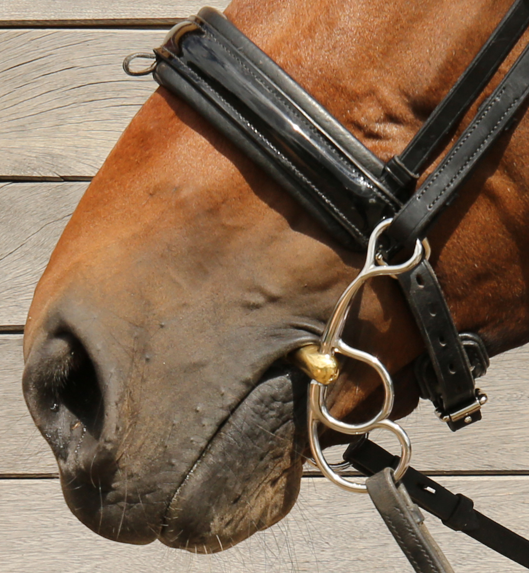 SPOT-ON Cheek bit in horses mouth